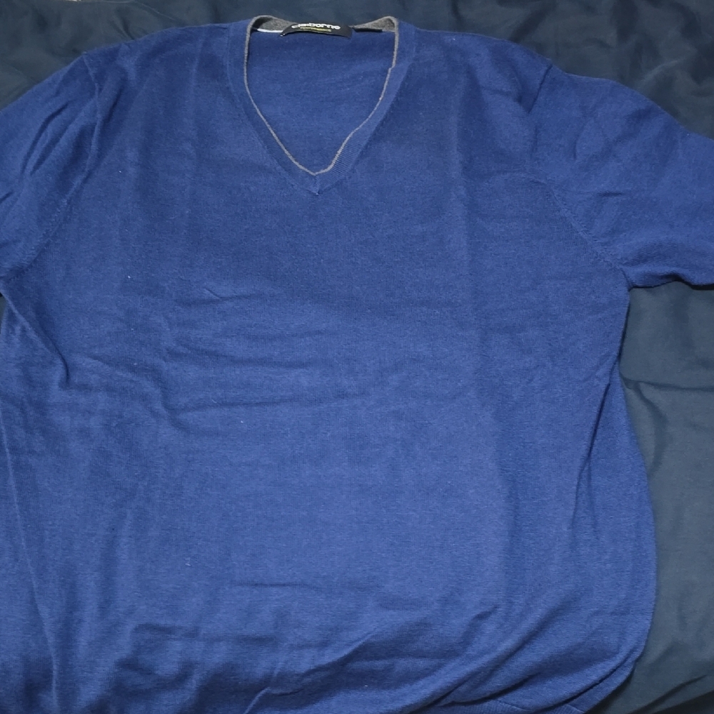 Men's Blue V-Neck Sweater